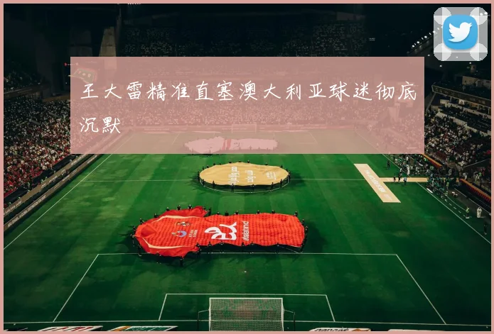 王大雷精准直塞澳大利亚球迷彻底沉默
