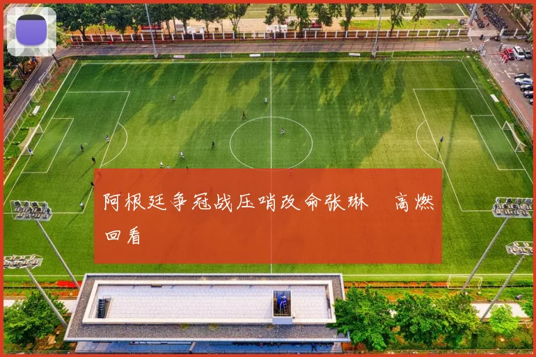 阿根廷争冠战压哨改命张琳芃高燃回看