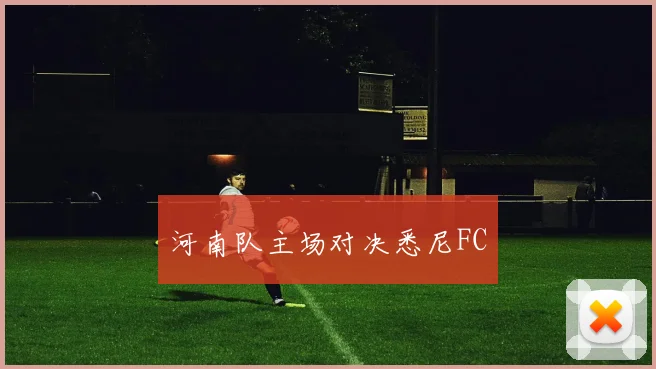 河南队主场对决悉尼FC