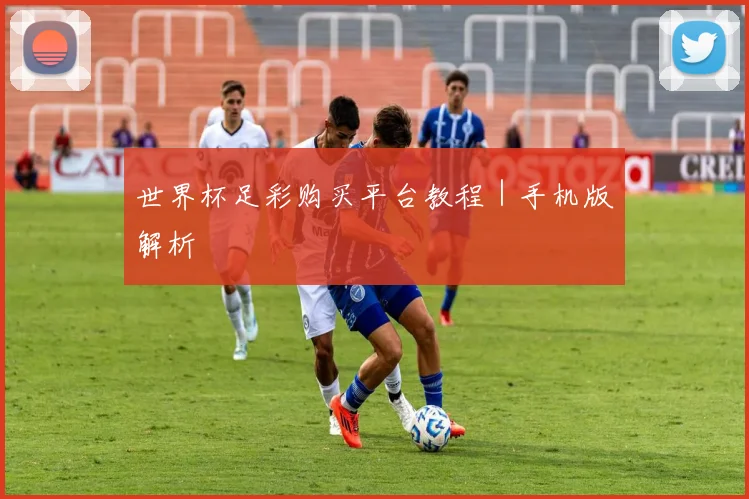 世界杯足彩购买平台教程｜手机版解析