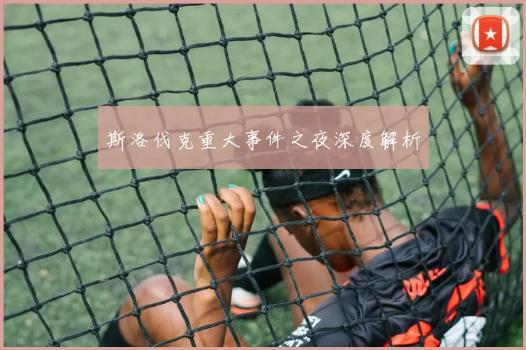 斯洛伐克重大事件之夜深度解析