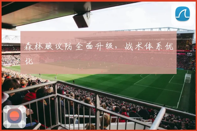 森林狼攻防全面升级,战术体系优化