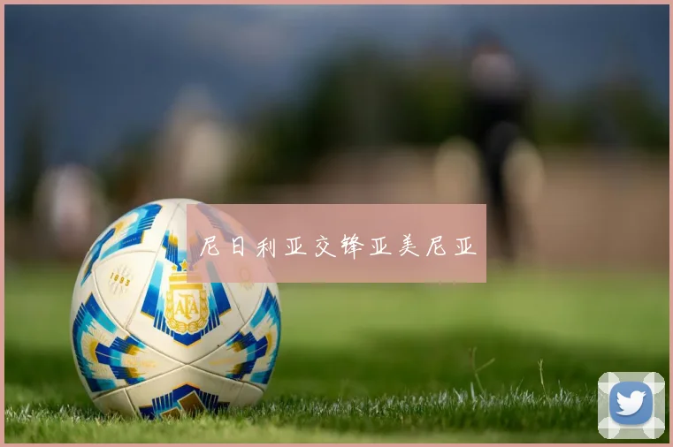 尼日利亚交锋亚美尼亚
