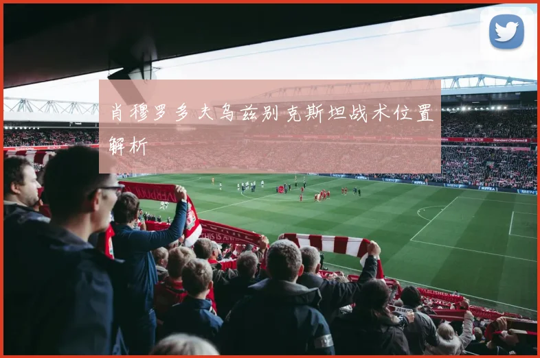 肖穆罗多夫乌兹别克斯坦战术位置解析