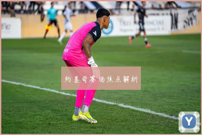 约基奇赛场焦点解析