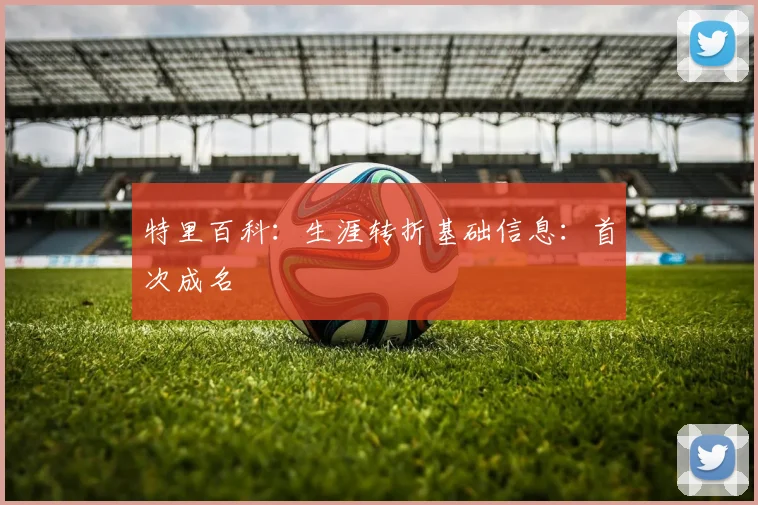 特里百科：生涯转折基础信息：首次成名