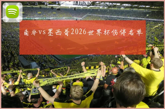 南非vs墨西哥2026世界杯伤停名单