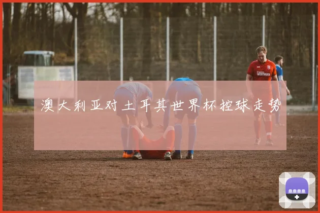 澳大利亚对土耳其世界杯控球走势