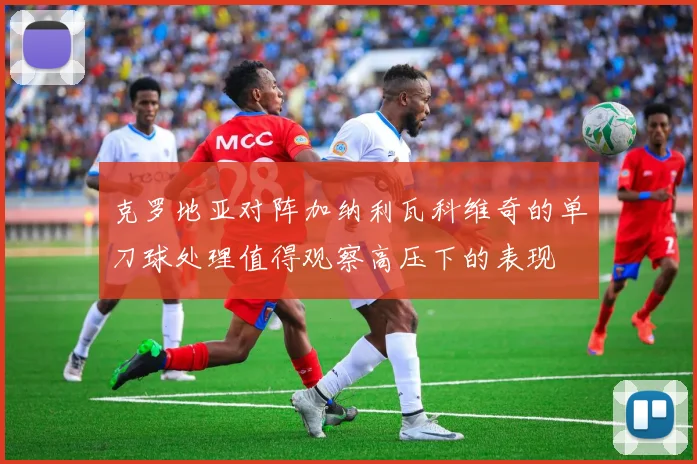 克罗地亚对阵加纳利瓦科维奇的单刀球处理值得观察高压下的表现