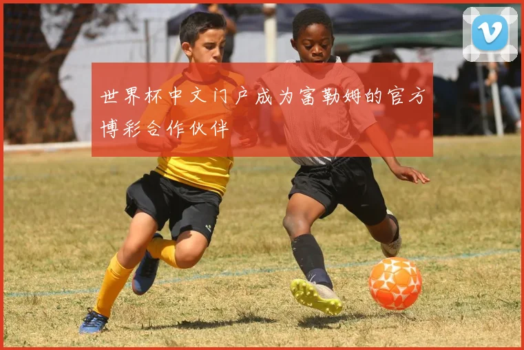 世界杯中文门户成为富勒姆的官方博彩合作伙伴