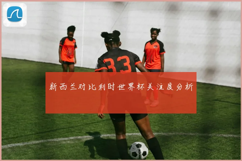 新西兰对比利时世界杯关注度分析