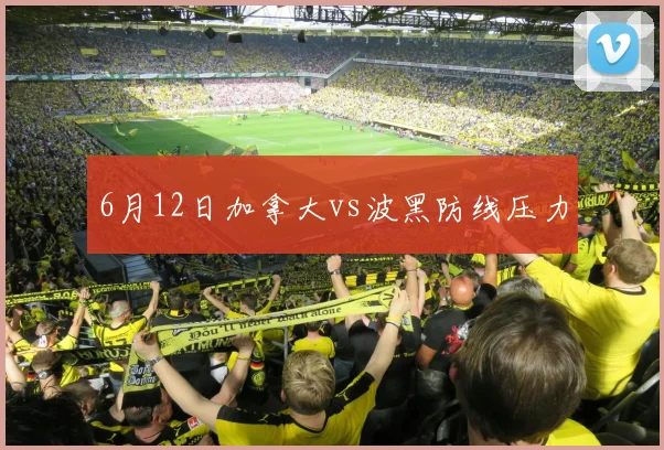 6月12日加拿大vs波黑防线压力